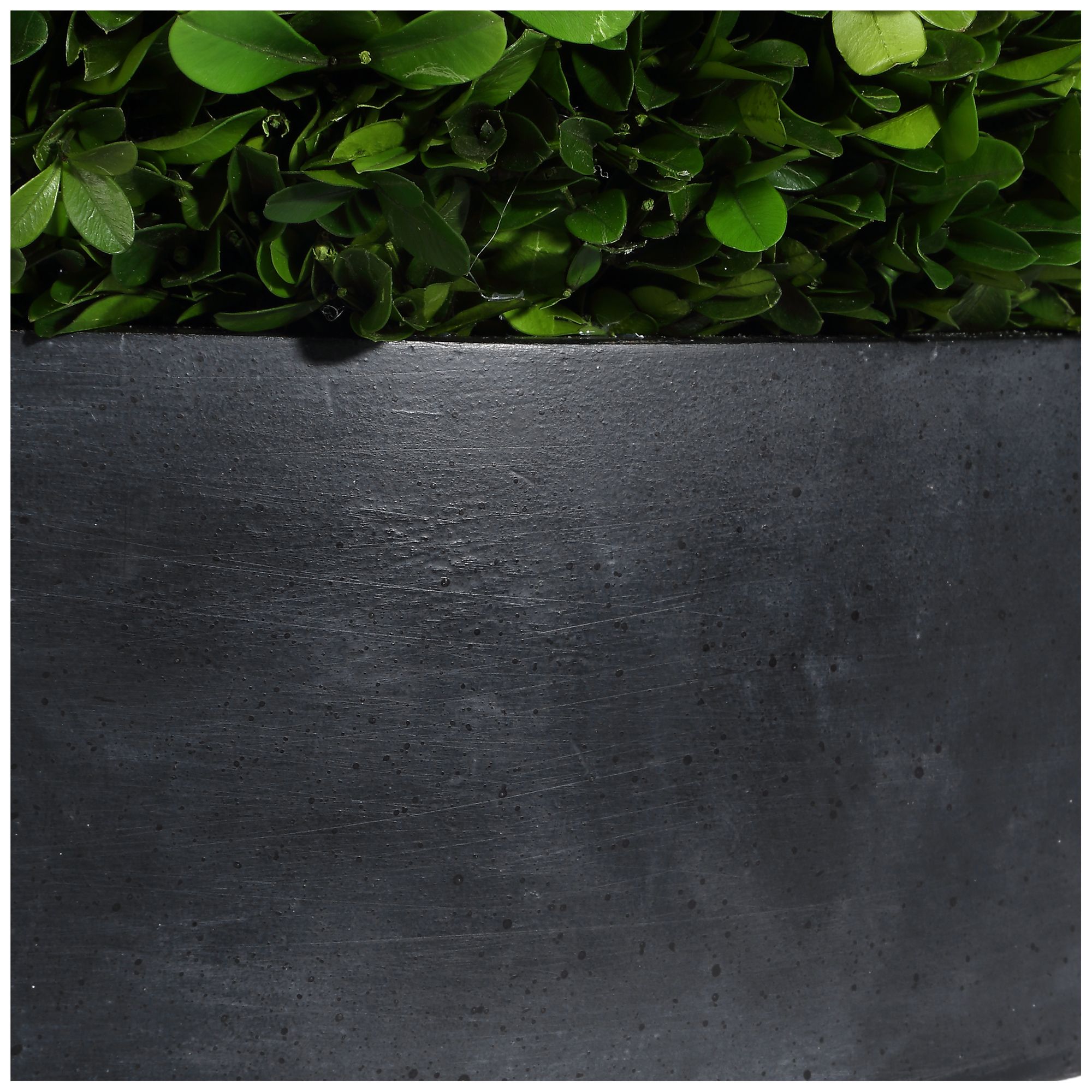 Image 5 Uttermost Verdana 17" Wide Preserved Boxwood Centerpiece more views