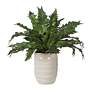 2_Uttermost Verdure 21" Wide x 15 1/2" High Fern