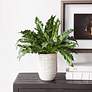 1_Uttermost Verdure 21" Wide x 15 1/2" High Fern