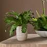 3_Uttermost Verdure 21" Wide x 15 1/2" High Fern more views