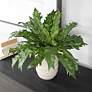 4_Uttermost Verdure 21" Wide x 15 1/2" High Fern more views