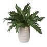 5_Uttermost Verdure 21" Wide x 15 1/2" High Fern more views