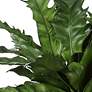 6_Uttermost Verdure 21" Wide x 15 1/2" High Fern more views