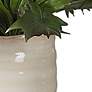 7_Uttermost Verdure 21" Wide x 15 1/2" High Fern more views