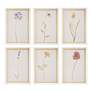 2_Uttermost Wild Flourish 14" x 20" 6-Piece Framed Prints