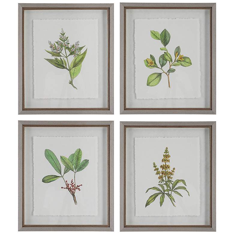 Image 1 Uttermost Wildflower Study 22 inchH 4-Piece Framed Wall Art Set