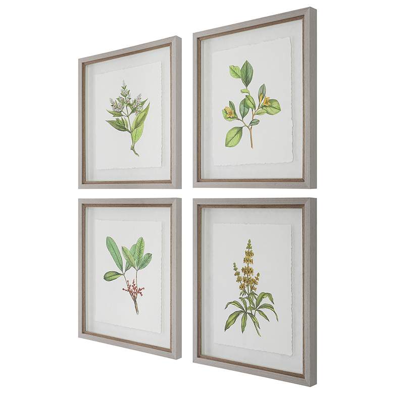 Image 4 Uttermost Wildflower Study 22"H 4-Piece Framed Wall Art Set more views