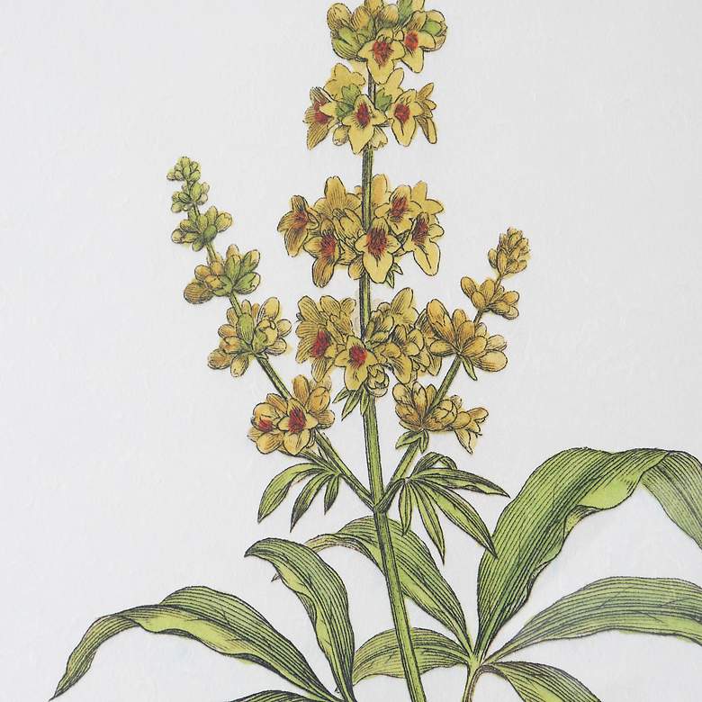 Image 5 Uttermost Wildflower Study 22"H 4-Piece Framed Wall Art Set more views