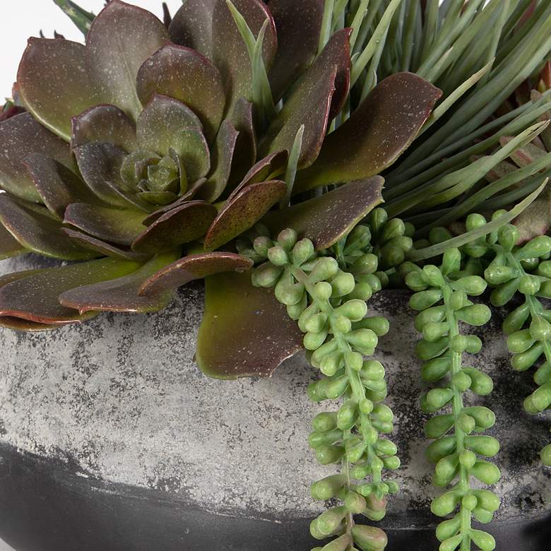 Image 5 Uttermost Yuma Succulent Centerpiece more views