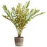 2_Uttermost Zamia Palm 57 3/4" High Accent Tree