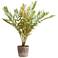 Uttermost Zamia Palm 57 3/4" High Accent Tree