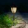 Uvas Bronze 10-Piece LED Landscape Path and Spot Light Set