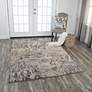 Thumbnail1 of Valencia VCA106 3'11"x5'6" Beige Gray Rectangular Area Ru