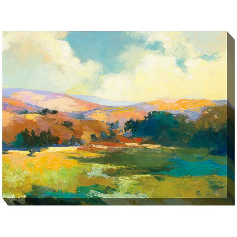 Image 1 Valley Of Light 40" Wide All-Weather Outdoor Canvas Wall Art