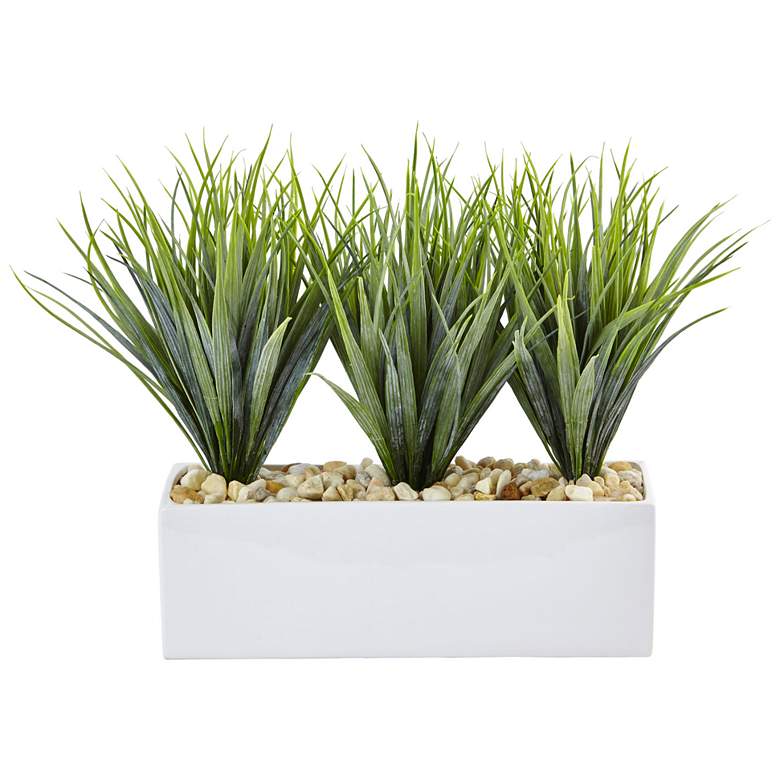 Image 1 Vanilla Grass in Rectangular Planter