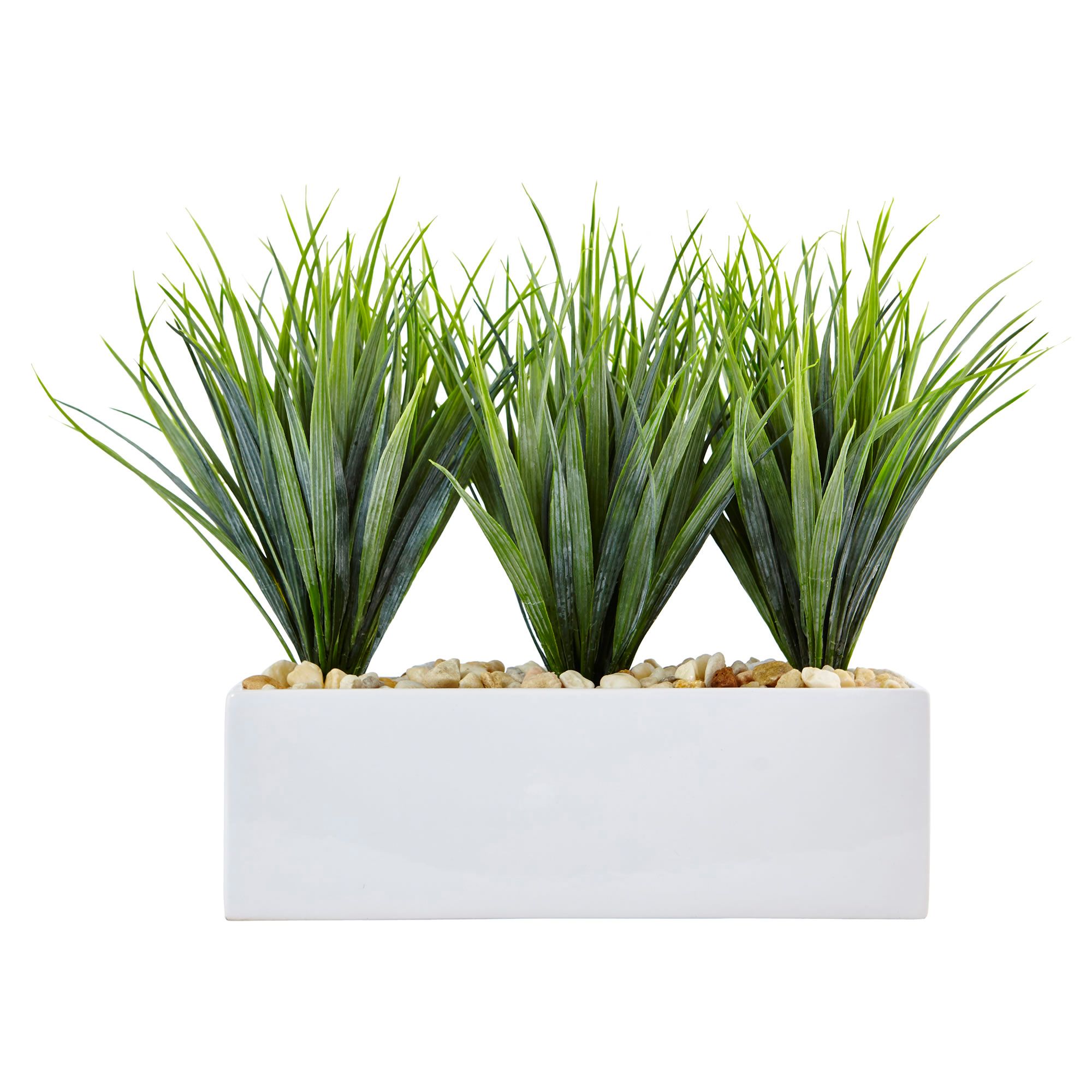 Image 3 Vanilla Grass in Rectangular Planter more views