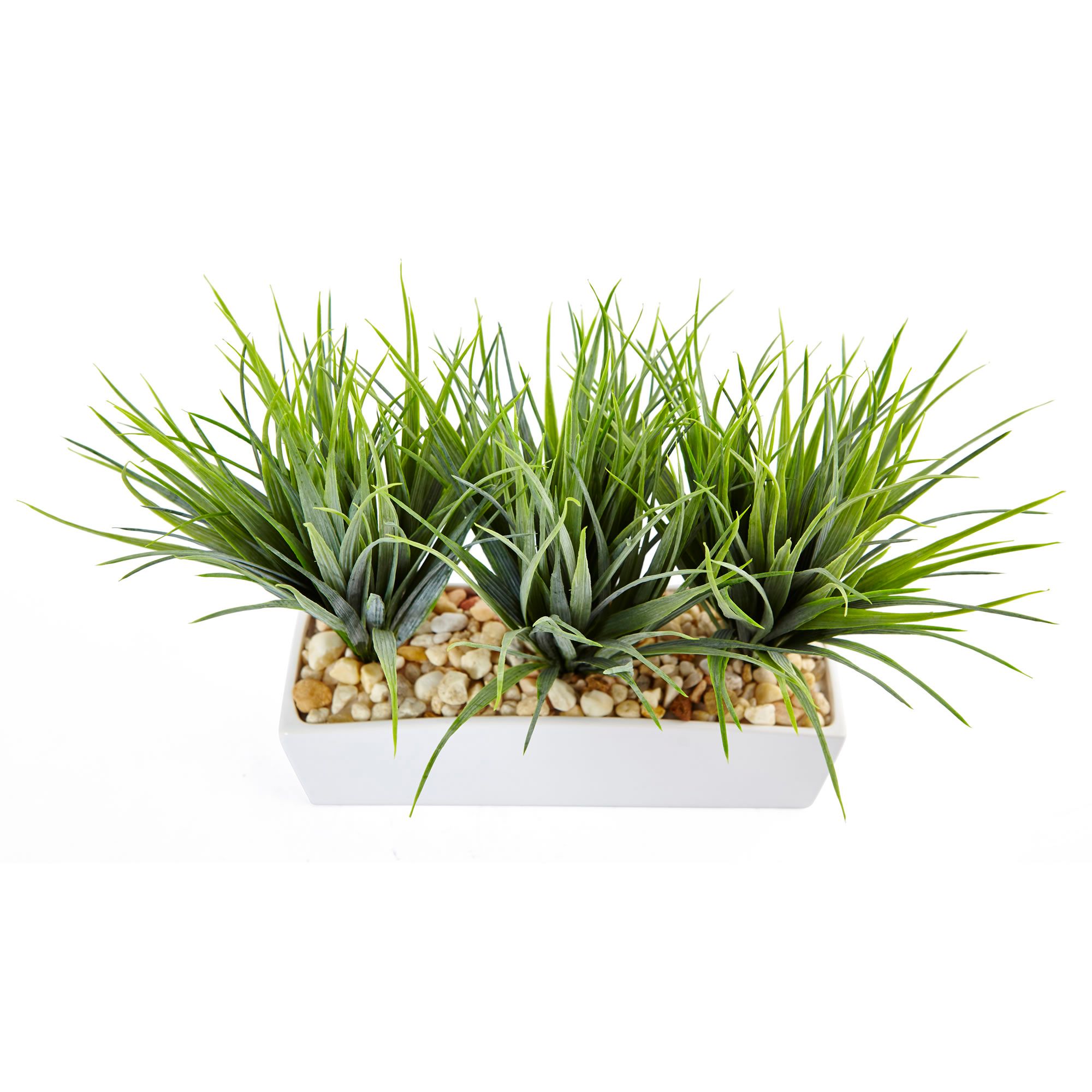 Image 4 Vanilla Grass in Rectangular Planter more views