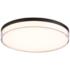 Vantage 11" Wide Coal LED Ceiling Light