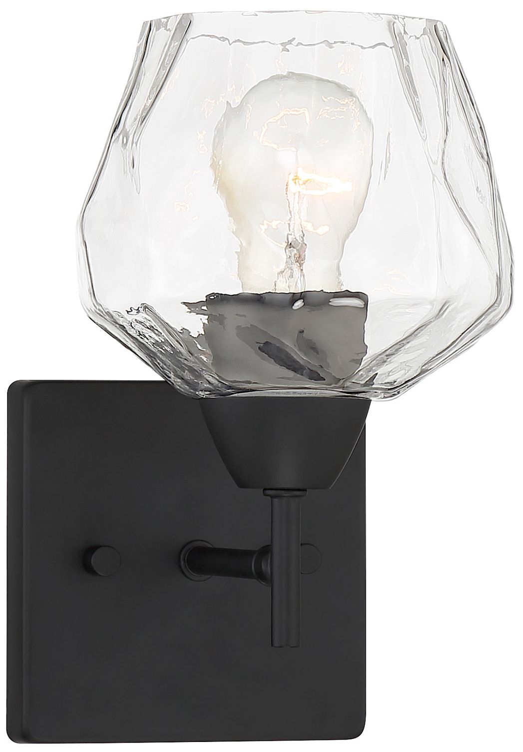Vantage Camrin 1-Light Coal Black Vanity Light with Clear Glass Shade