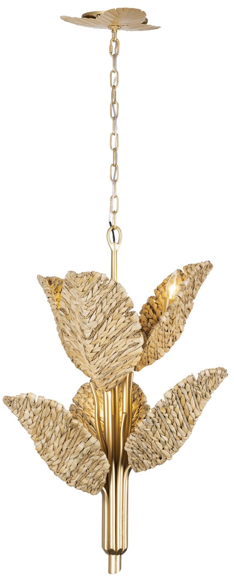 Varaluz Banana Leaf Gold Collection