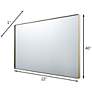 4_Varaluz Casa Kye Gold 22" x 40" Rectangular Wall Mirror more views