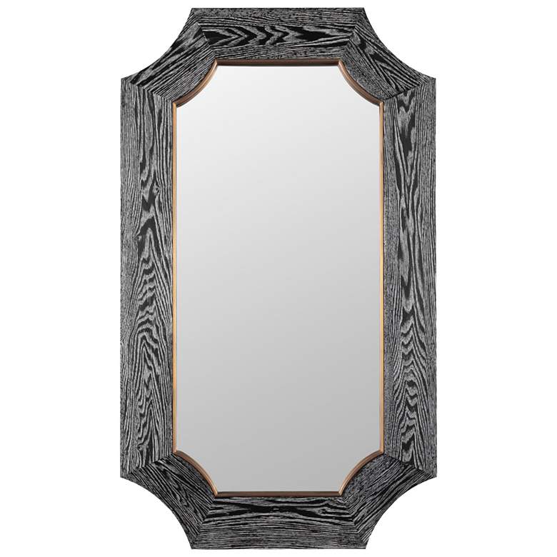 Image 1 Varaluz Farra Cerused Black/Weathered Brass 26" x 44" Wall Mirror