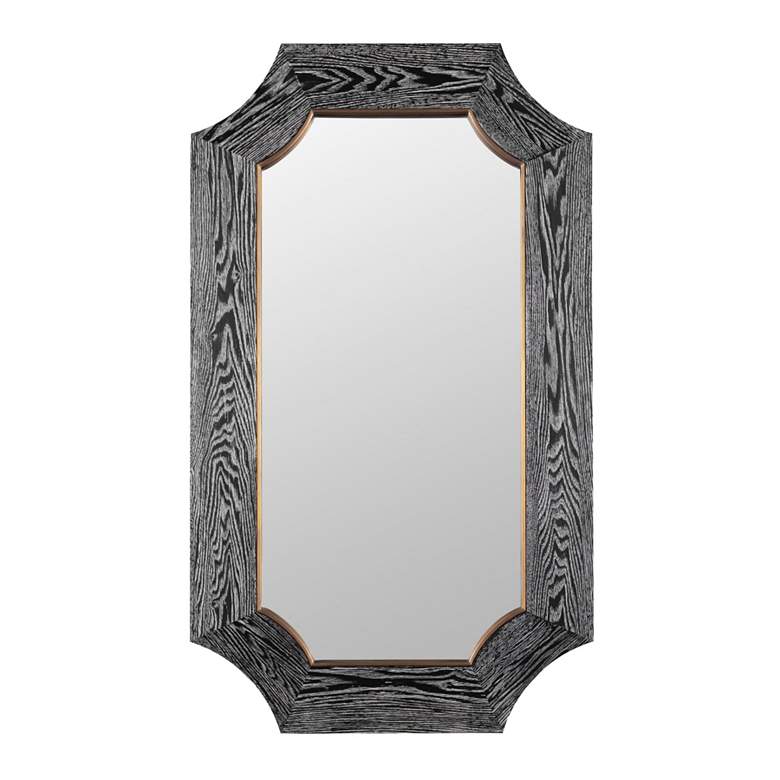 Image 2 Varaluz Farra Cerused Black/Weathered Brass 26" x 44" Wall Mirror more views