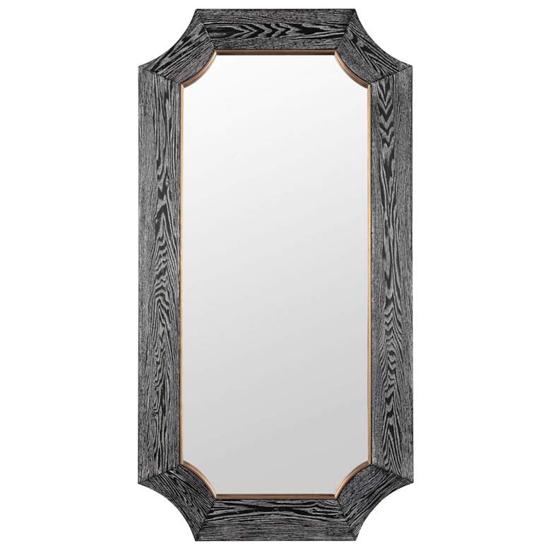 Image 1 Varaluz Farra Cerused Black/Weathered Brass 28" x 54" Wall Mirror
