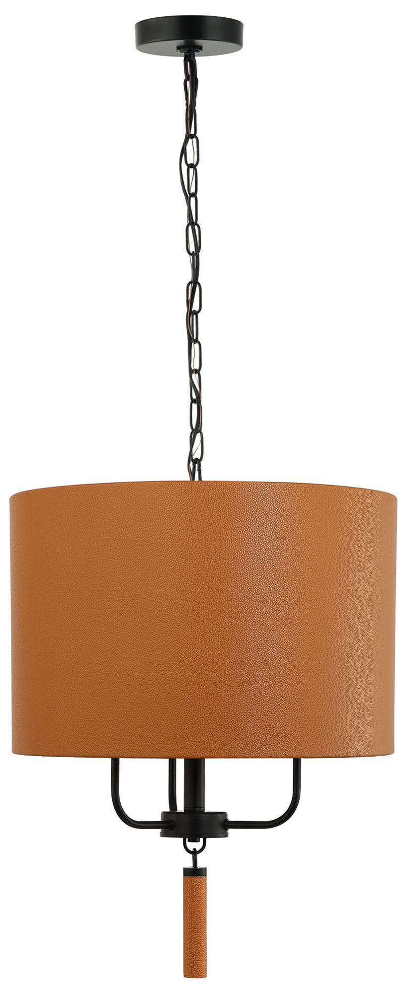 Varaluz Secret Agent Black Collection