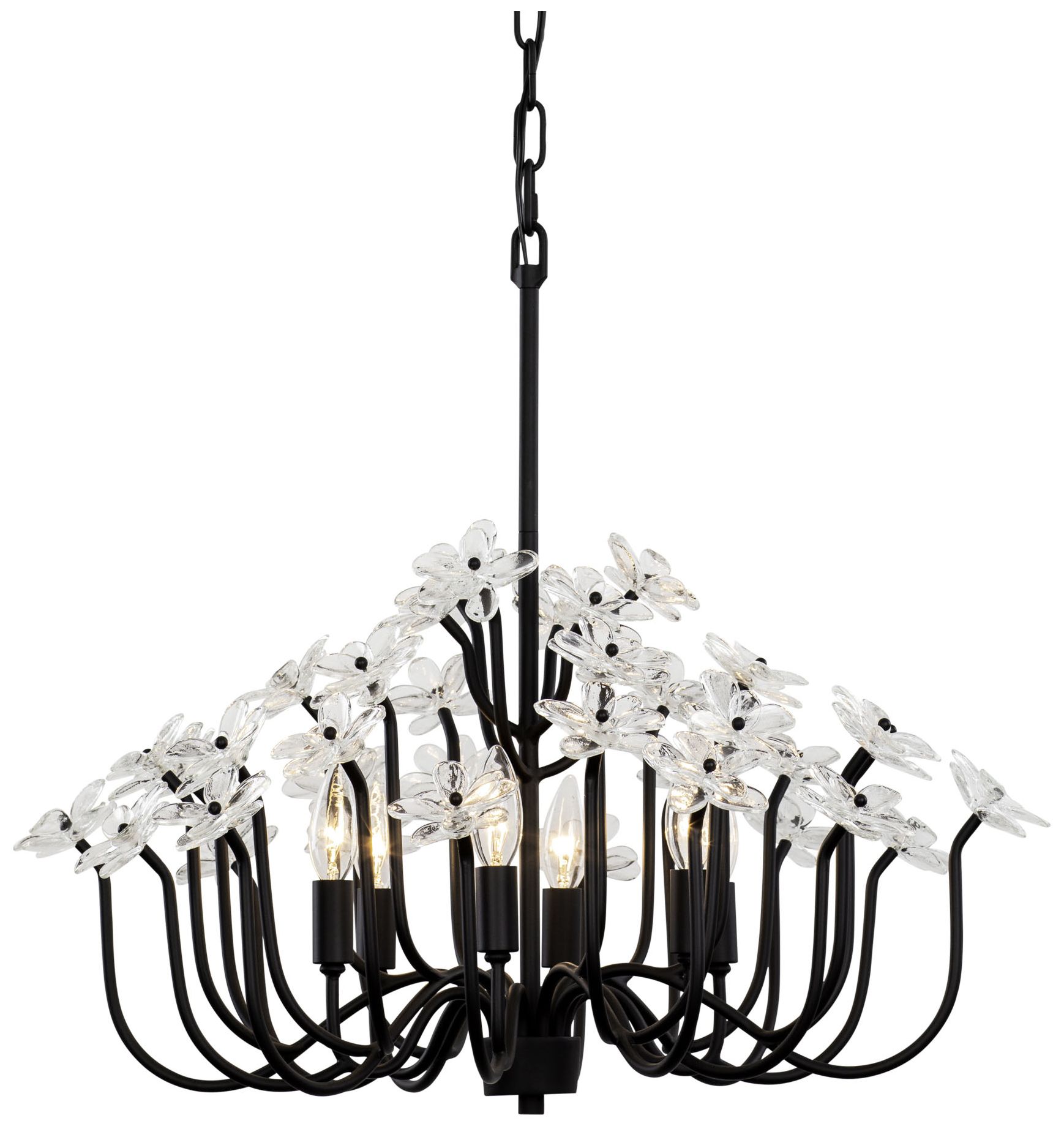 Varaluz Wildflower Black Collection