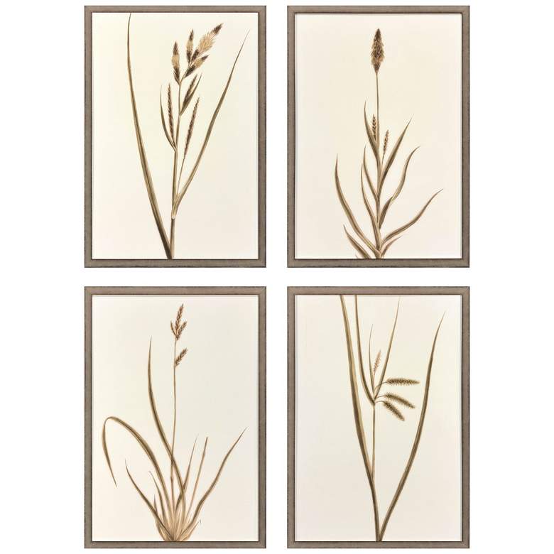 Image 1 Varying Grasses 17"W x 25"H Framed Art Set of 4