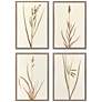 1_Varying Grasses 17"W x 25"H Framed Art Set of 4