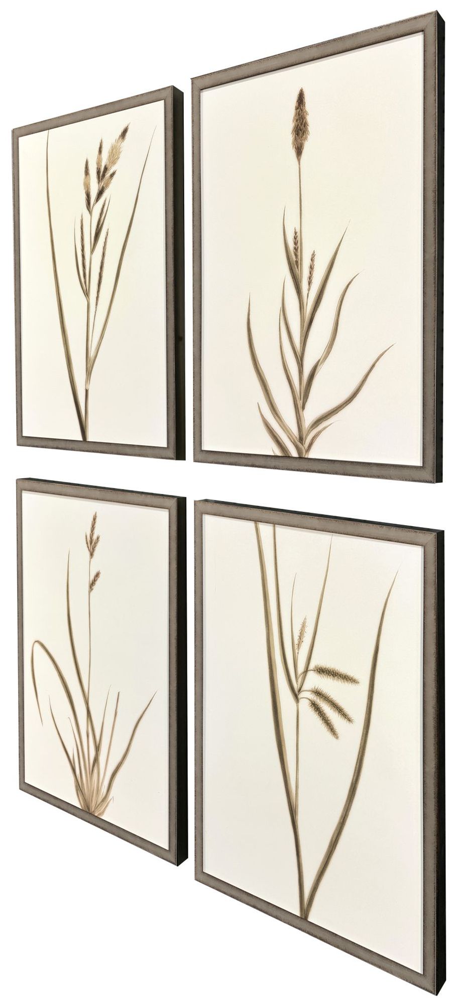 Image 2 Varying Grasses 17"W x 25"H Framed Art Set of 4 more views