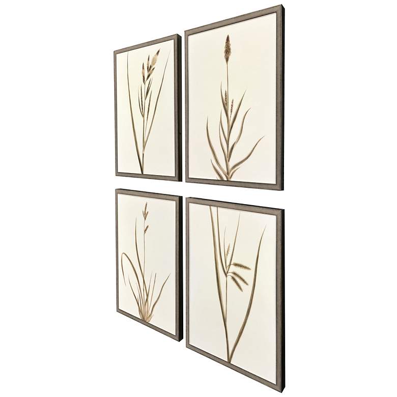Image 2 Varying Grasses 17"W x 25"H Framed Art Set of 4 more views