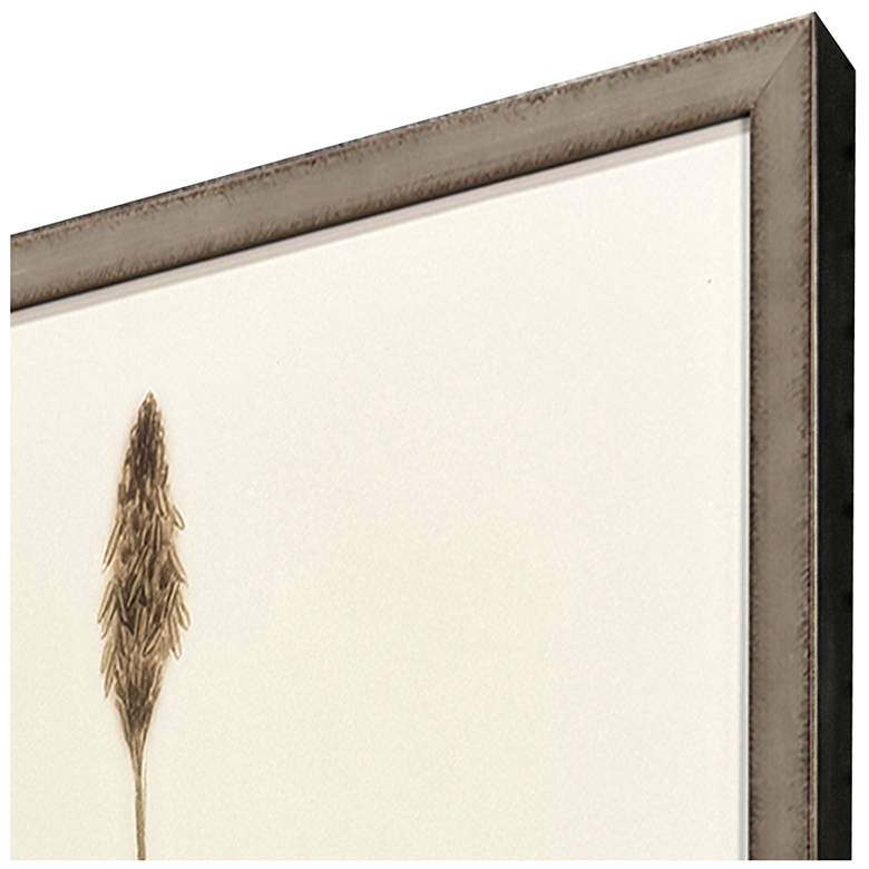 Image 3 Varying Grasses 17"W x 25"H Framed Art Set of 4 more views