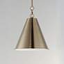 2_Veritas 12" 1-Light Pendant Heritage more views