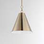 3_Veritas 12" 1-Light Pendant Heritage more views