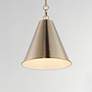 4_Veritas 12" 1-Light Pendant Heritage more views