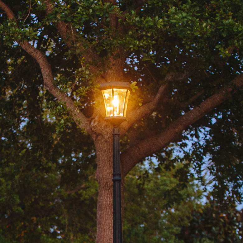 Image 1 Victorian Bulb Black Solar LED Dusk to Dawn Outdoor Light