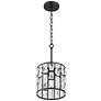 Watch A Video About the Vienna Full Spectrum Sofie Black and Crystal Mini Pendant Light
