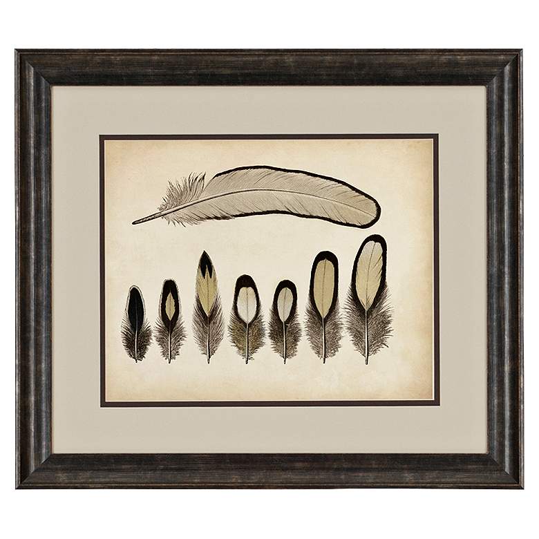 Image 1 Vintage Feathers IX 31 inch Wide Framed Wall Art