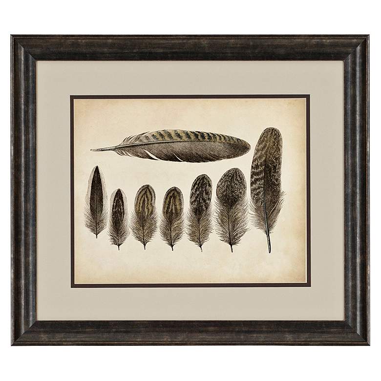 Image 1 Vintage Feathers VIII 31 inch Wide Framed Wall Art
