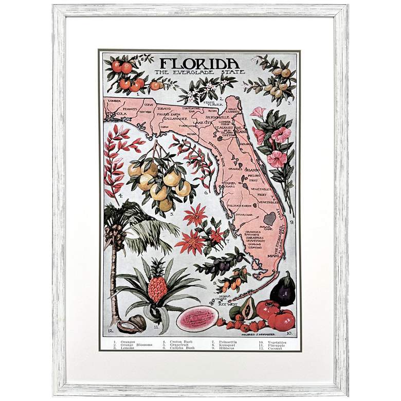 Image 1 Vintage Florida Map 35"W x 47"H Framed Art