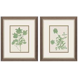 Image1 of Vintage Garden 9"W x 11"H Framed Art Set of 2