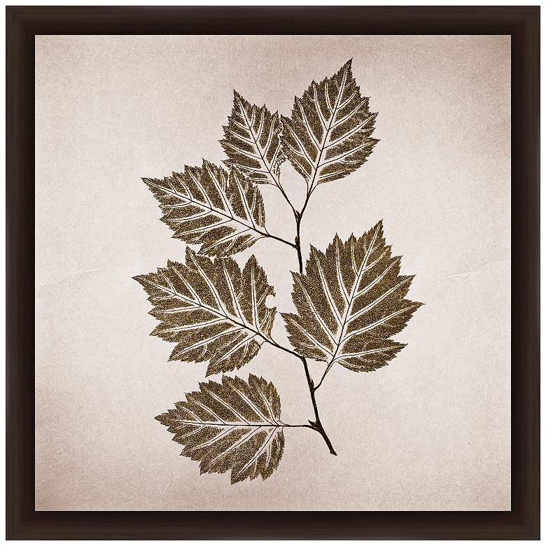 Image 1 Vintage Leaves 14 inch Square Framed Giclee Wall Art