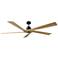 Visual Comfort Fan Collection Aspen 70 Black Fan