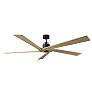 3_Visual Comfort Fan Collection Aspen 70 Black Fan more views