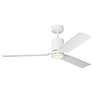 1_Visual Comfort Fan Collection Cleancut Smart 54 LED Array White Fan