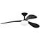 Visual Comfort Fan Collection Drape Smart 58 LED Array Black Fan