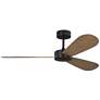 1_Visual Comfort Fan Collection Paddle Smart 52 Black Fan